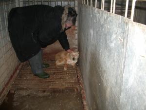 Прикачена снимка