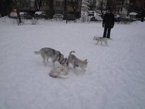 Прикачена снимка