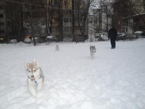 Прикачена снимка