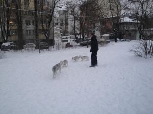 Прикачена снимка
