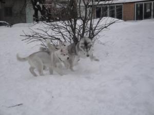 Прикачена снимка