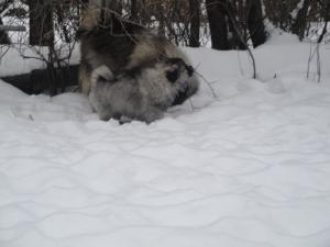 Прикачена снимка