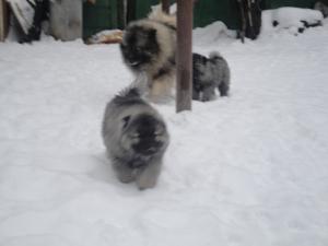 Прикачена снимка
