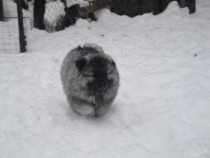 Прикачена снимка