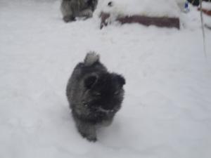 Прикачена снимка