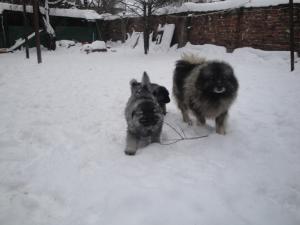 Прикачена снимка