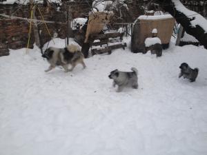 Прикачена снимка