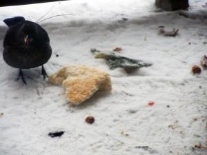 Прикачена снимка