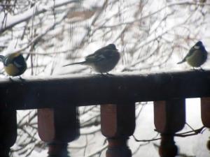 Прикачена снимка