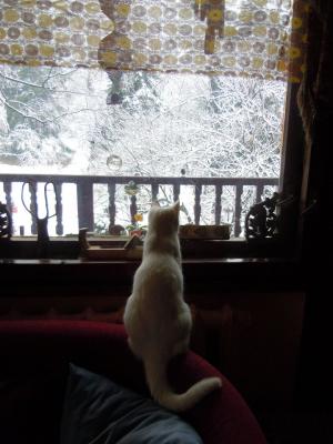 Прикачена снимка