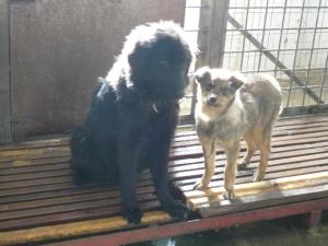 Прикачена снимка