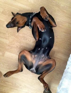 Прикачена снимка