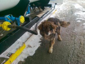 Прикачена снимка