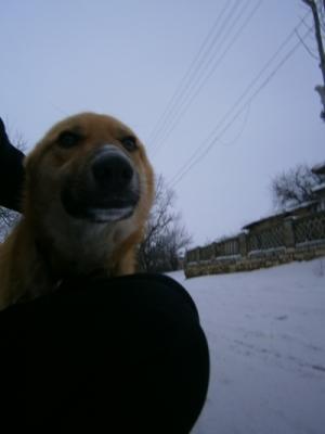 Прикачена снимка