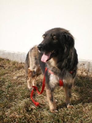 Прикачена снимка