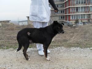 Прикачена снимка