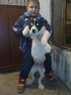 Прикачена снимка