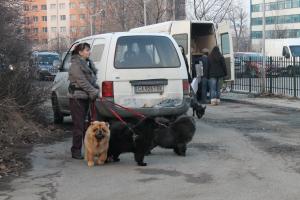 Прикачена снимка