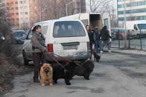 Прикачена снимка