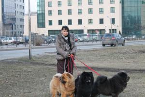 Прикачена снимка