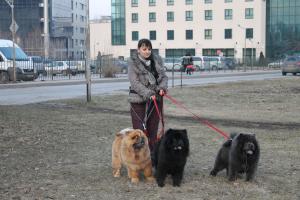 Прикачена снимка