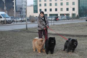 Прикачена снимка