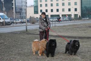 Прикачена снимка