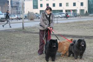 Прикачена снимка