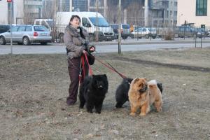 Прикачена снимка
