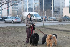 Прикачена снимка