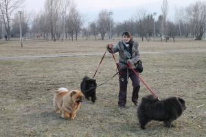 Прикачена снимка