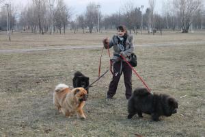 Прикачена снимка