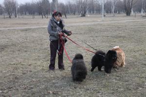 Прикачена снимка