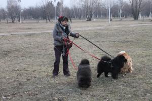 Прикачена снимка