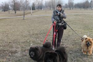 Прикачена снимка