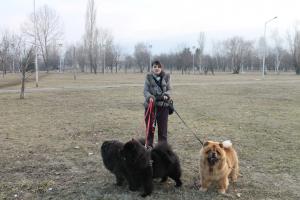 Прикачена снимка