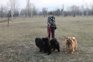 Прикачена снимка