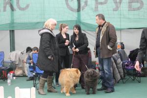Прикачена снимка