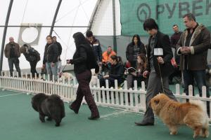 Прикачена снимка