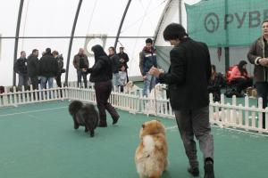 Прикачена снимка