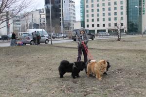 Прикачена снимка