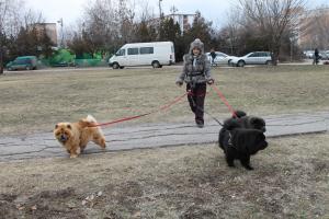 Прикачена снимка