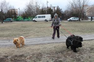 Прикачена снимка