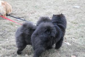 Прикачена снимка