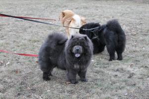 Прикачена снимка