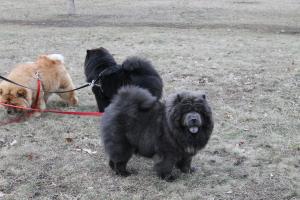 Прикачена снимка