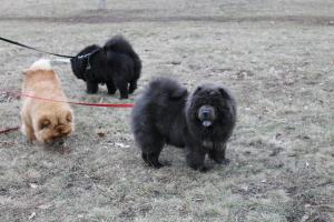 Прикачена снимка