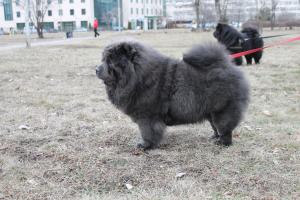 Прикачена снимка