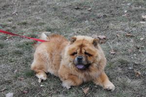 Прикачена снимка