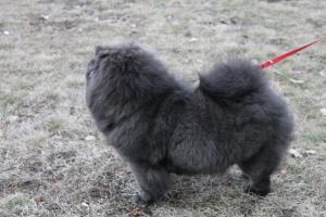 Прикачена снимка